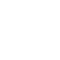 icon 1 1
